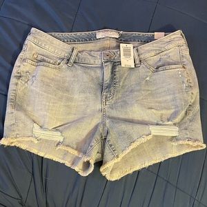 Torrid jean shorts